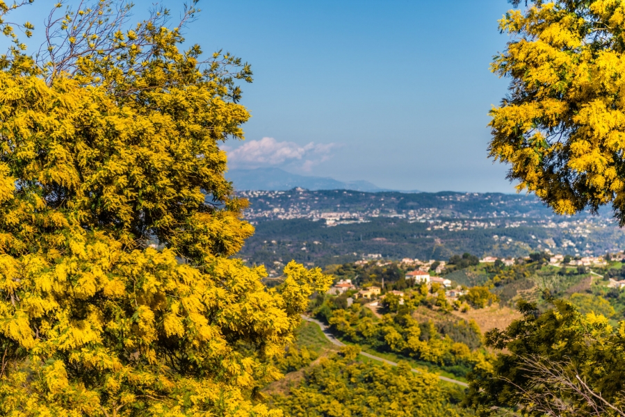 RANDO-PEDESTRE-scaled